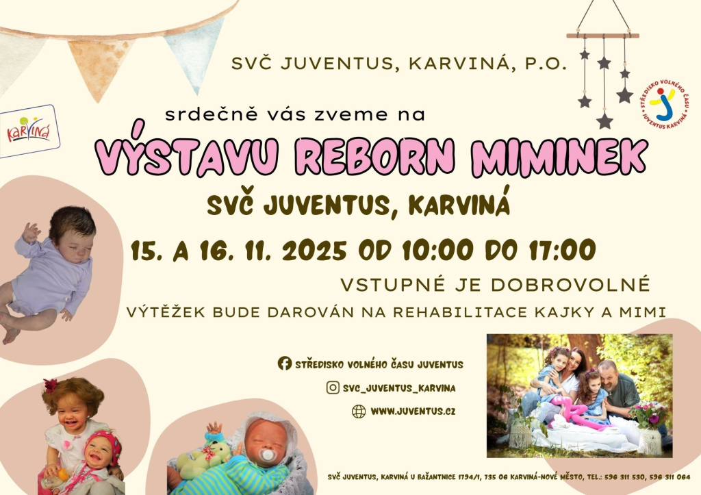 Výstava reborn miminek